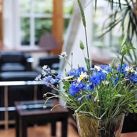 Hestia Jugend Hotel Riga